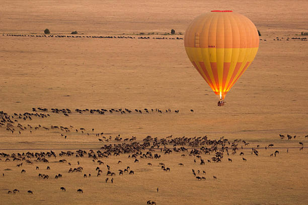 3 Days Serengeti Safari & Hot Air Balloon from Zanzibar
