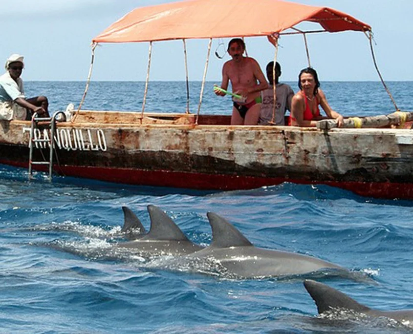 Kizimkazi Dolphins Tour