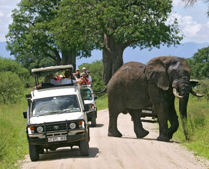 Ngorongoro Crater